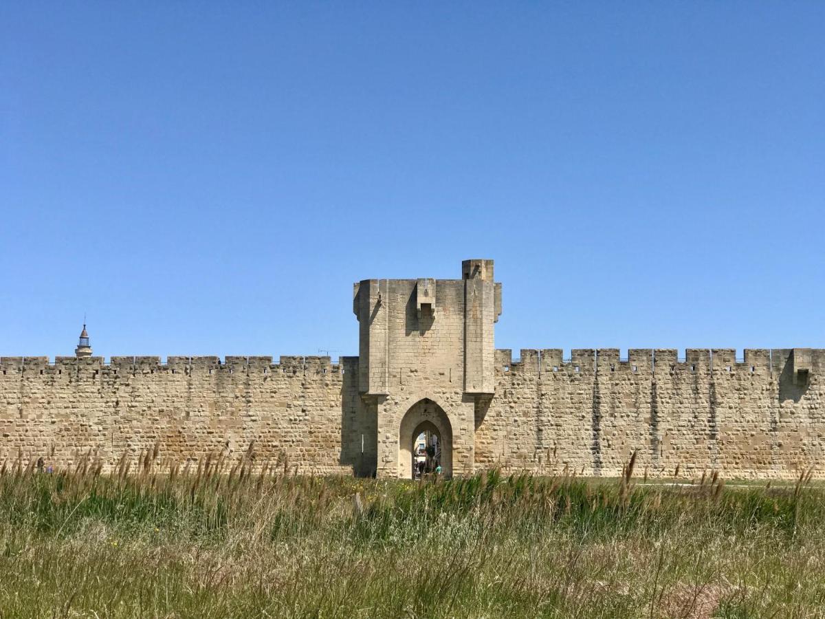 O 36 Rempart Sud Aigues-Mortes